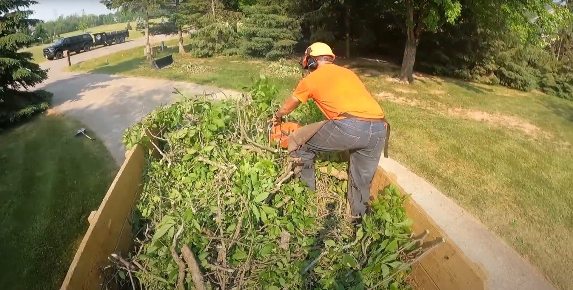 Land Clearing and Brush Removal Services Tree service professional clearing brush and vegetation with chainsaw